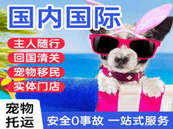 宜昌三峡机场邮寄国际宠物托运 【国